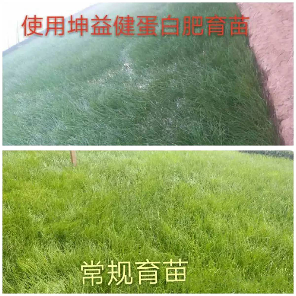 1495249704891059.jpg 44.jpg