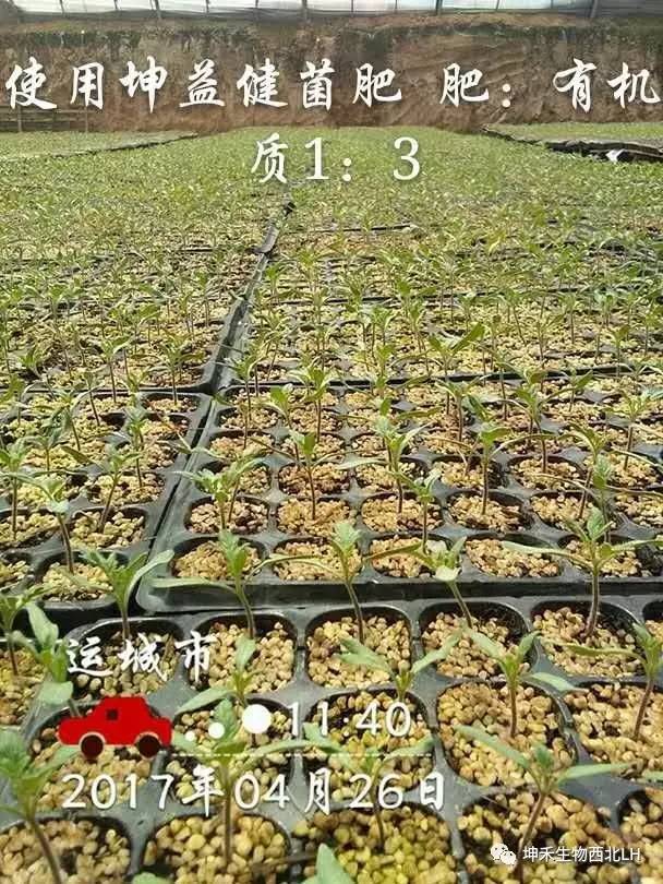 1495277065100251.jpg 微信圖片_20170520184109.jpg