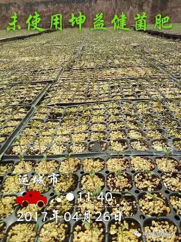 1495277099692510.jpg 微信圖片_20170520184116.jpg