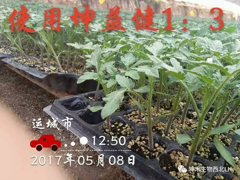 1495277122592246.jpg 微信圖片_20170520184119.jpg