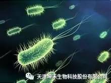 1495281204909519.jpg 微信圖片_20170520195216.jpg