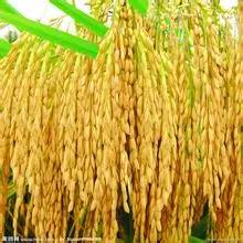 1495339792170448.jpg 微信圖片_20170521120940.jpg