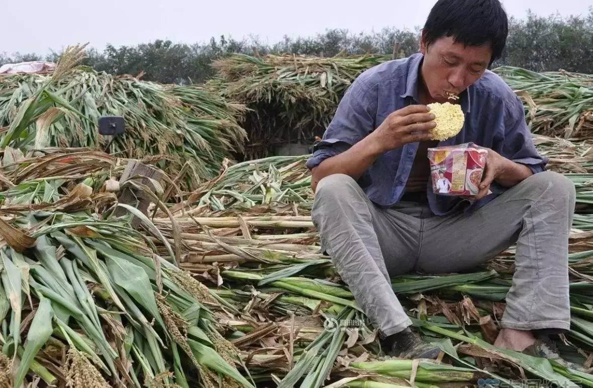 1495342288888864.jpg 微信圖片_20170521125119.jpg