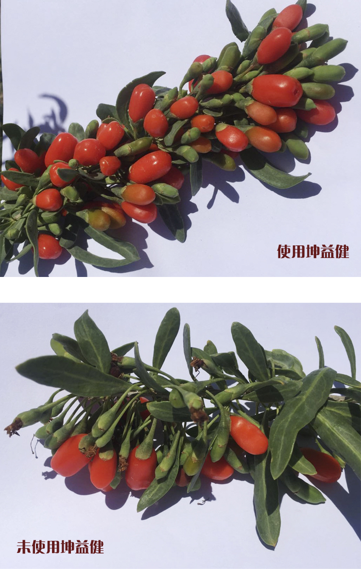 1513218650121353.jpg 未標(biāo)題-2.jpg