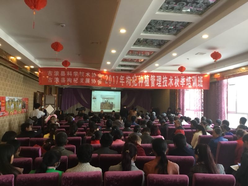 1513218698105763.jpg 1.jpg