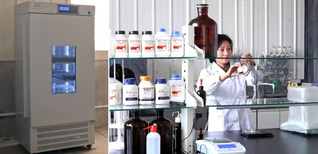 1518846329101950.jpg 微生物實(shí)驗(yàn)室.jpg