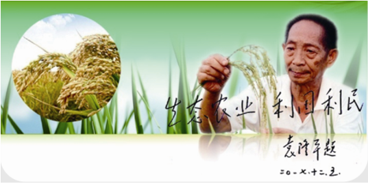 1524645272518360.png 1524454025(1).png