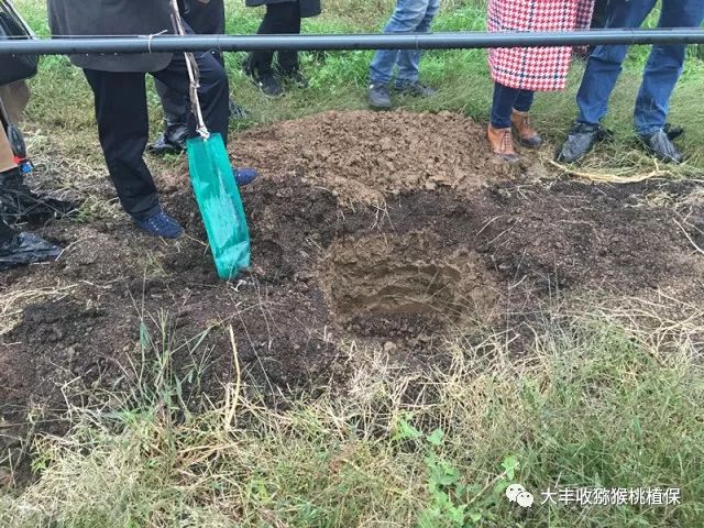 1525333670806286.jpg 微信圖片_20180416115750.jpg