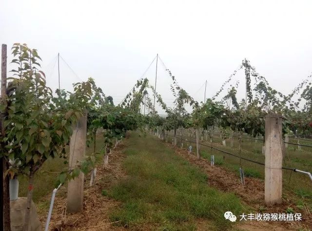 1525333684332506.jpg 微信圖片_20180416115754.jpg