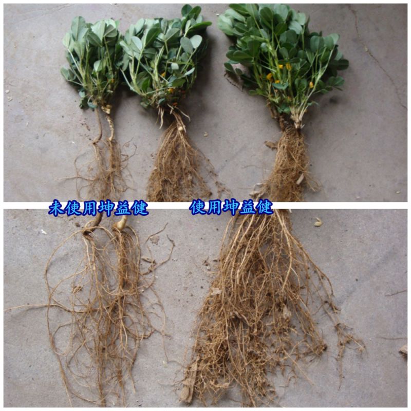 1527753466672586.jpg 648808145.jpg