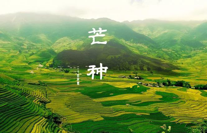 1529735115106921.png 微信圖片_20180623142304.png