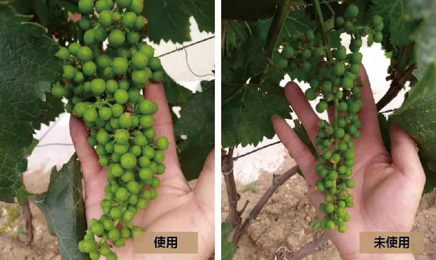 1529735243565136.png 微信圖片_201806231424152.png