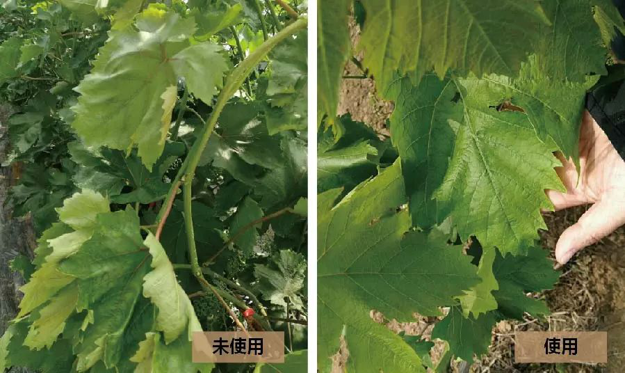 1529735264599518.png 微信圖片_201806231424153.png