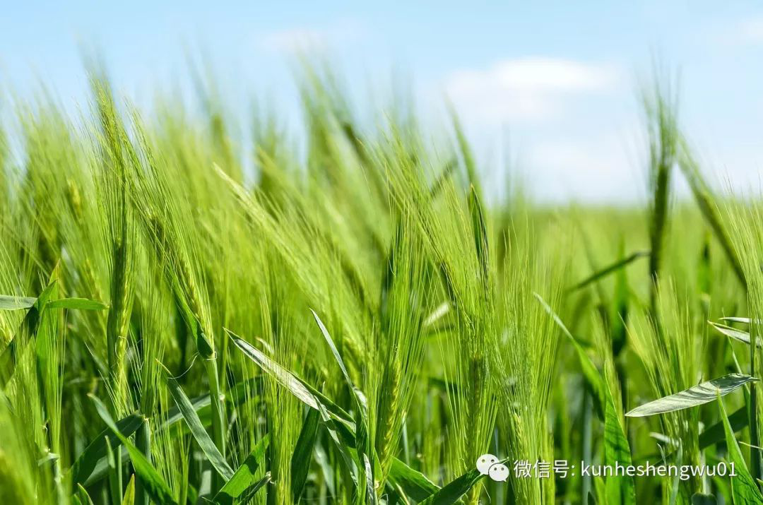 1529738214256297.png 微信圖片_201806231455121.png