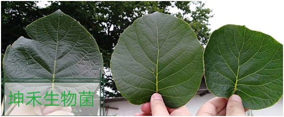 1583199558445957.png image.png