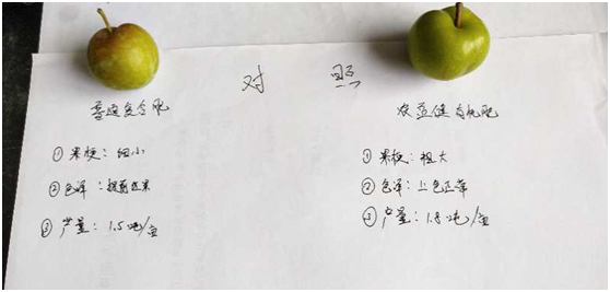 1583208674936073.png V9W{`~TVD(GZGPDC`LUMUT6.png