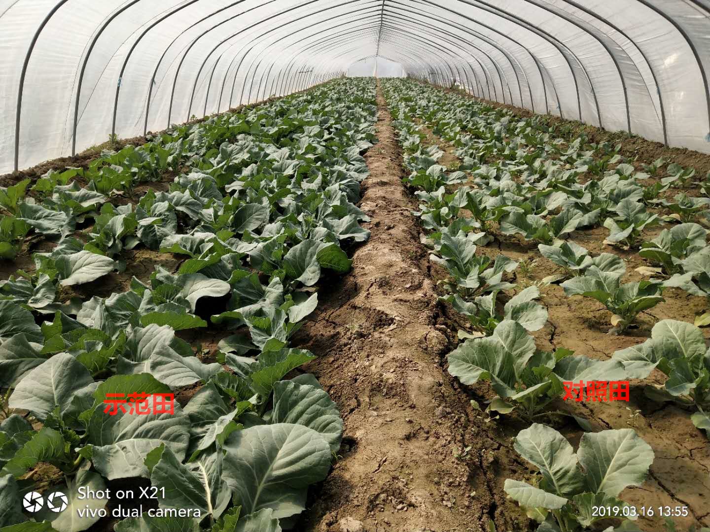 1583211119745547.jpg 微信圖片_201903271609054_看圖王.jpg