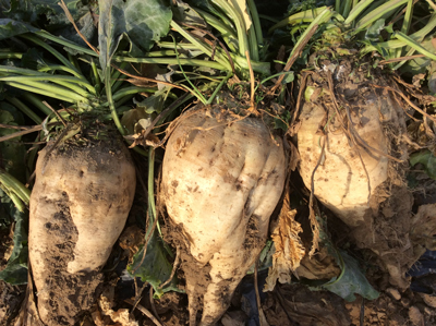 1583212484262227.jpg 1K~ZX7~REYF)I[I[LZC%A_7.jpg