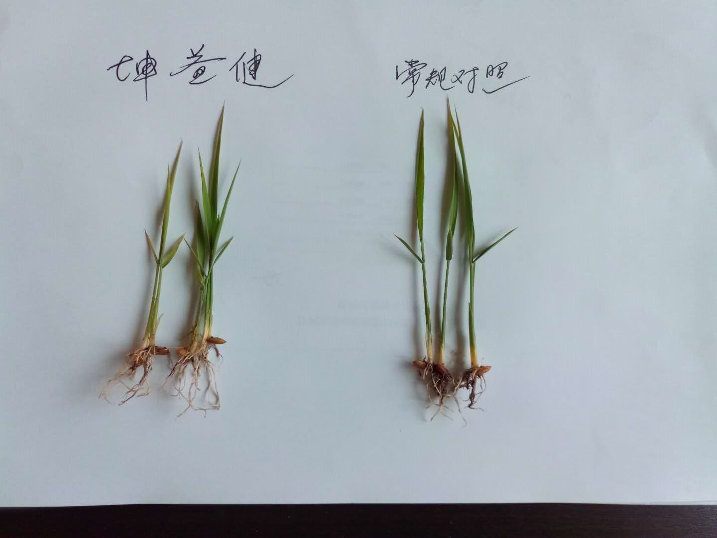 1583213544300544.jpg 微信圖片_201808221633475.jpg