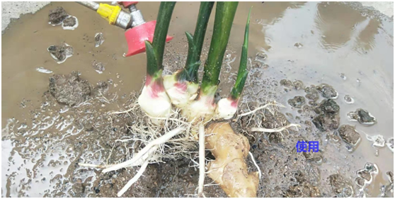 1583217440890597.png 67D9$NWAEZDG~[NOFTA%21I.png