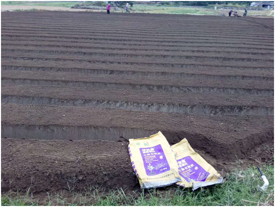 1583219782804948.png 8VZ{TLQJHD9(0L_NR728EQ2.png