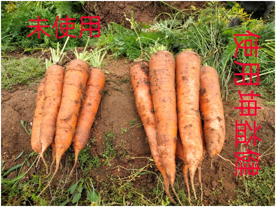 1583219812871476.png E[TZDZ0TUJGRW4J[1}SE3EX.png