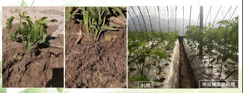 1589161419686416.jpg 微信圖片_20200511093225.jpg