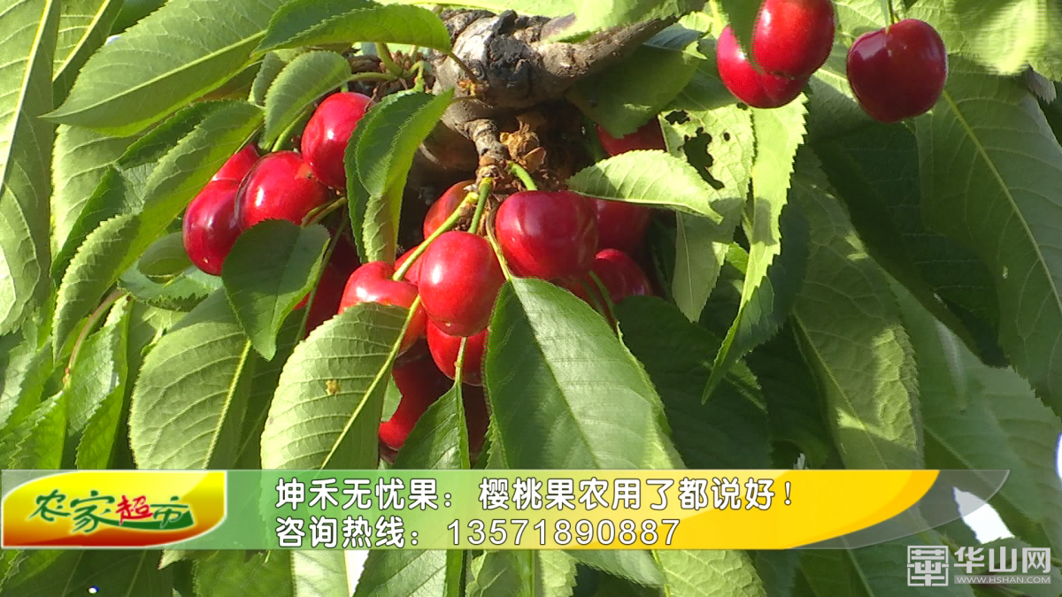 1592280133872357.png 202005271932232ja2.png