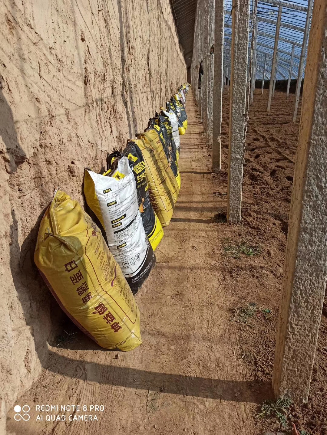 1598420673152955.jpg 微信圖片_20200601162710.jpg