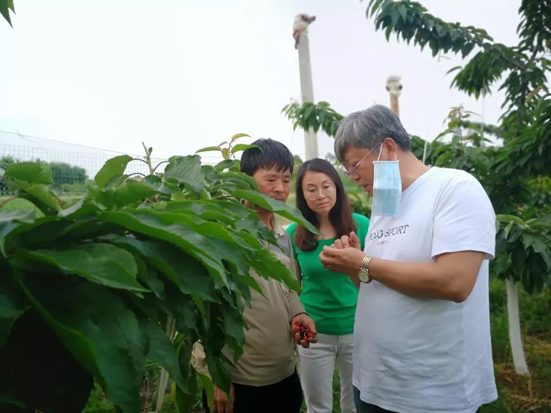 1598420781889000.jpg 微信圖片_20200602152149.jpg