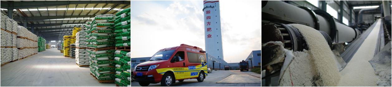 1598421499168067.jpg b3.jpg