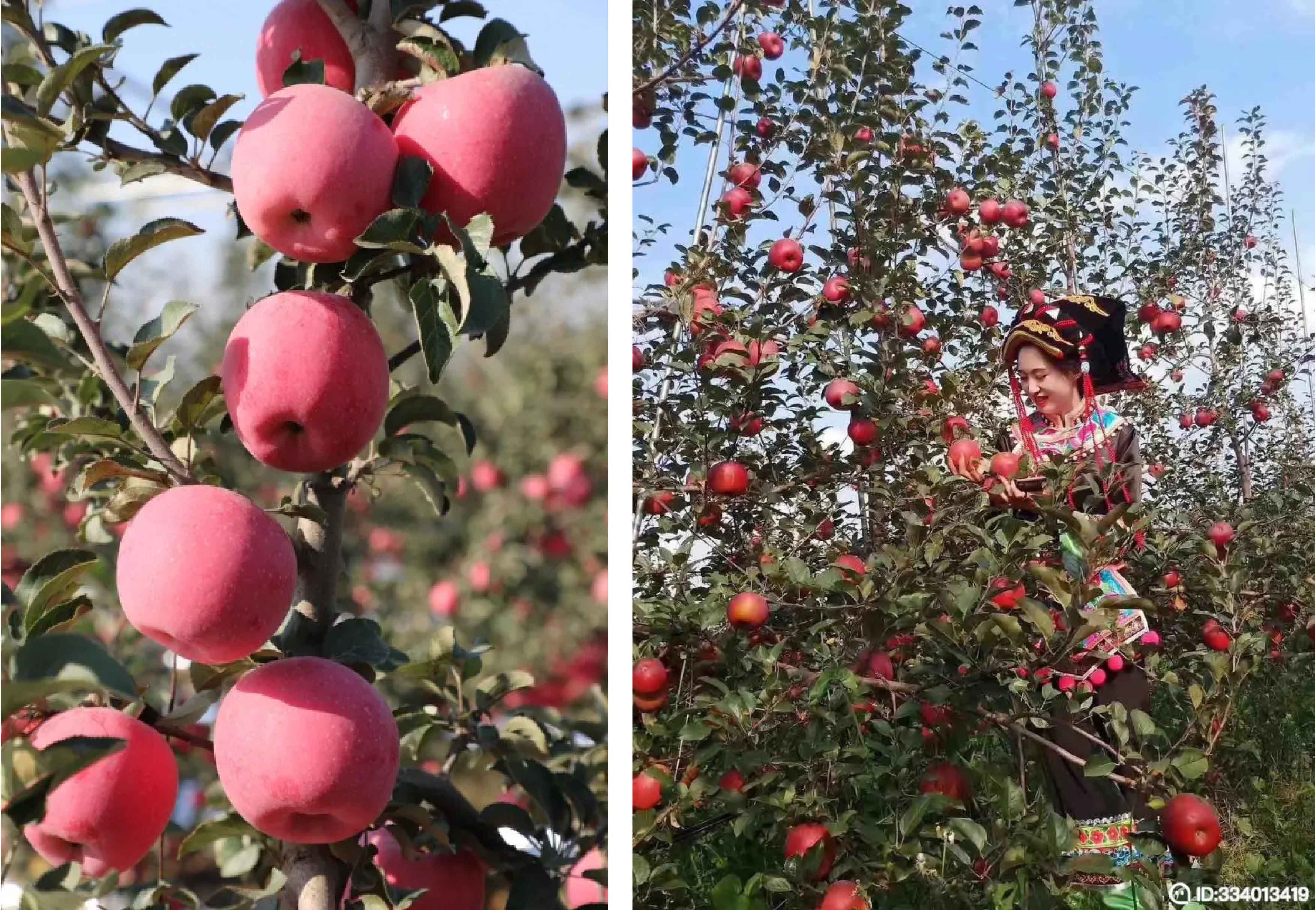 1598498493212166.jpg 未標(biāo)題-1-01.jpg