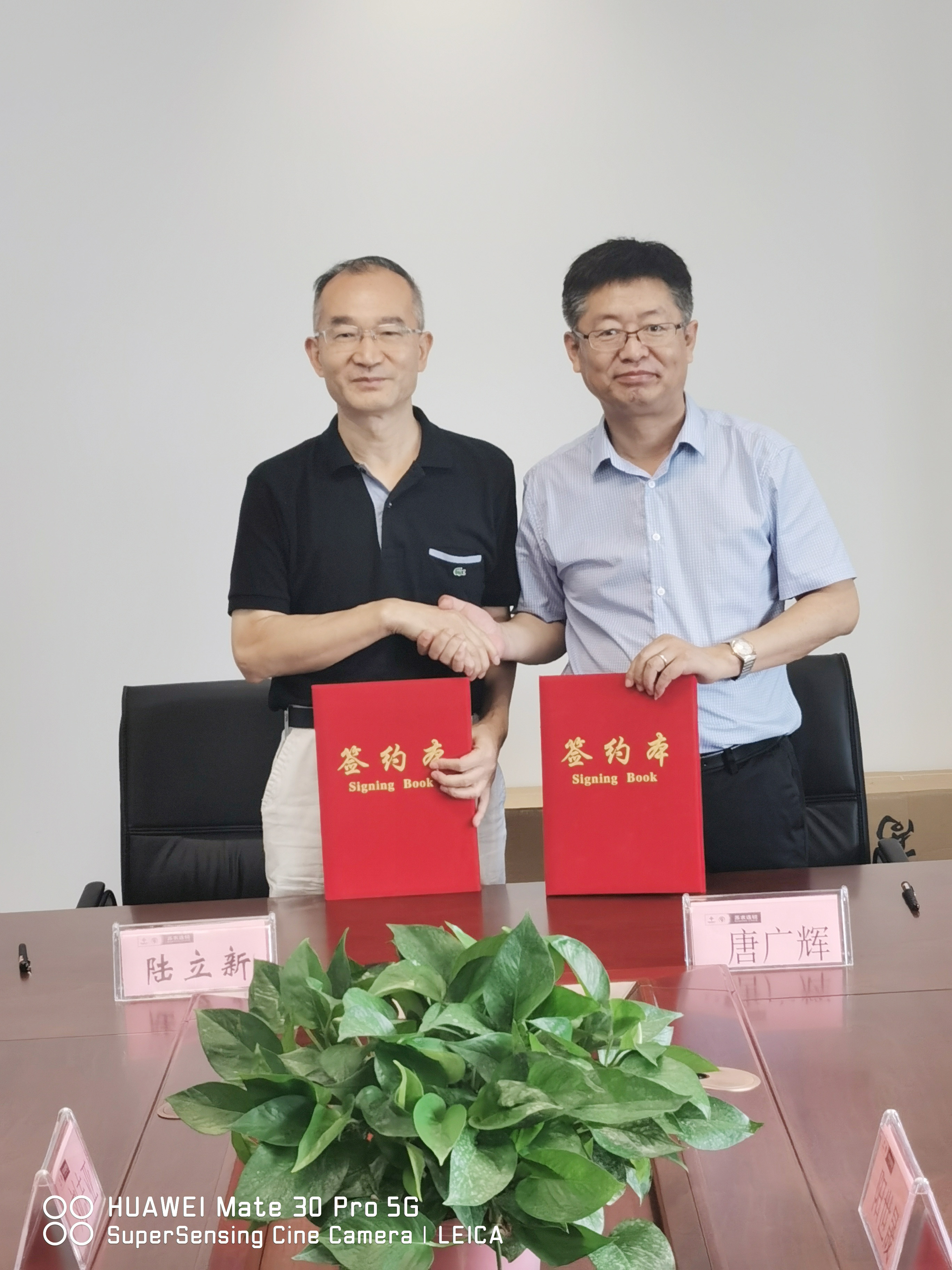 1600418033495782.jpg 2.jpg