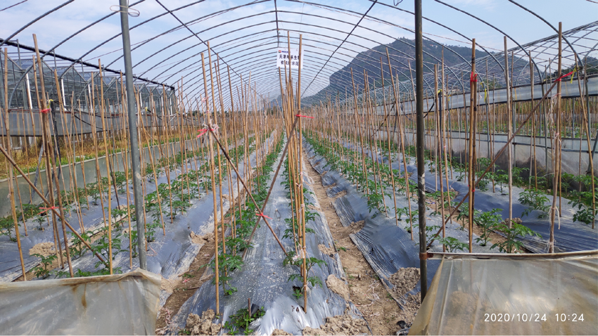 1606440199428707.png 未標(biāo)題-3-天津坤禾-01.png