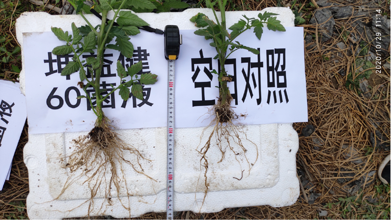 1606440556637620.png 圖片-01.png