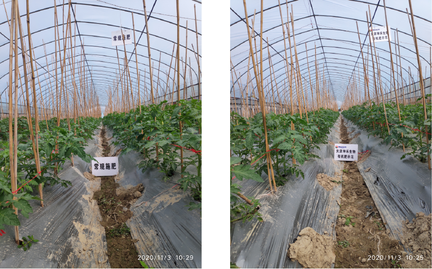 1606440809531633.png 未標(biāo)題-7-01.png