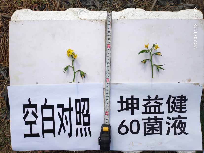 1606441167356696.jpg 11-01.jpg