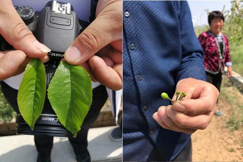 1627529621510901.jpg 微信圖片_20210728164853.jpg