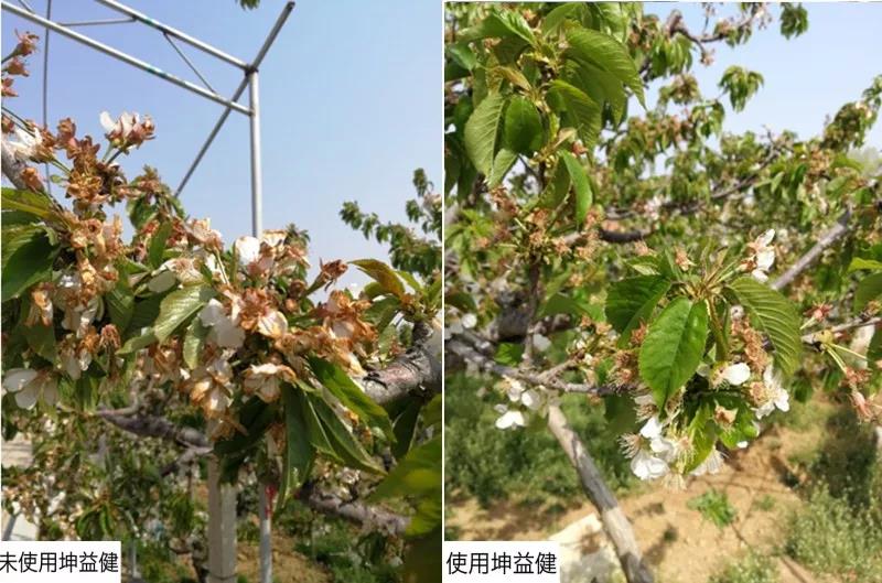 1627529636592725.jpg 微信圖片_20210728164902.jpg