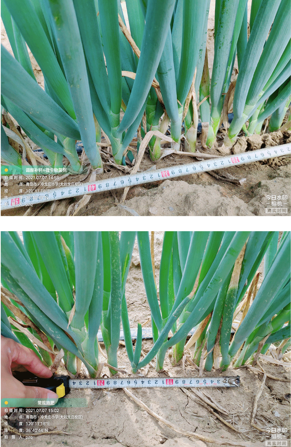 1628733489791342.png 5-02.png