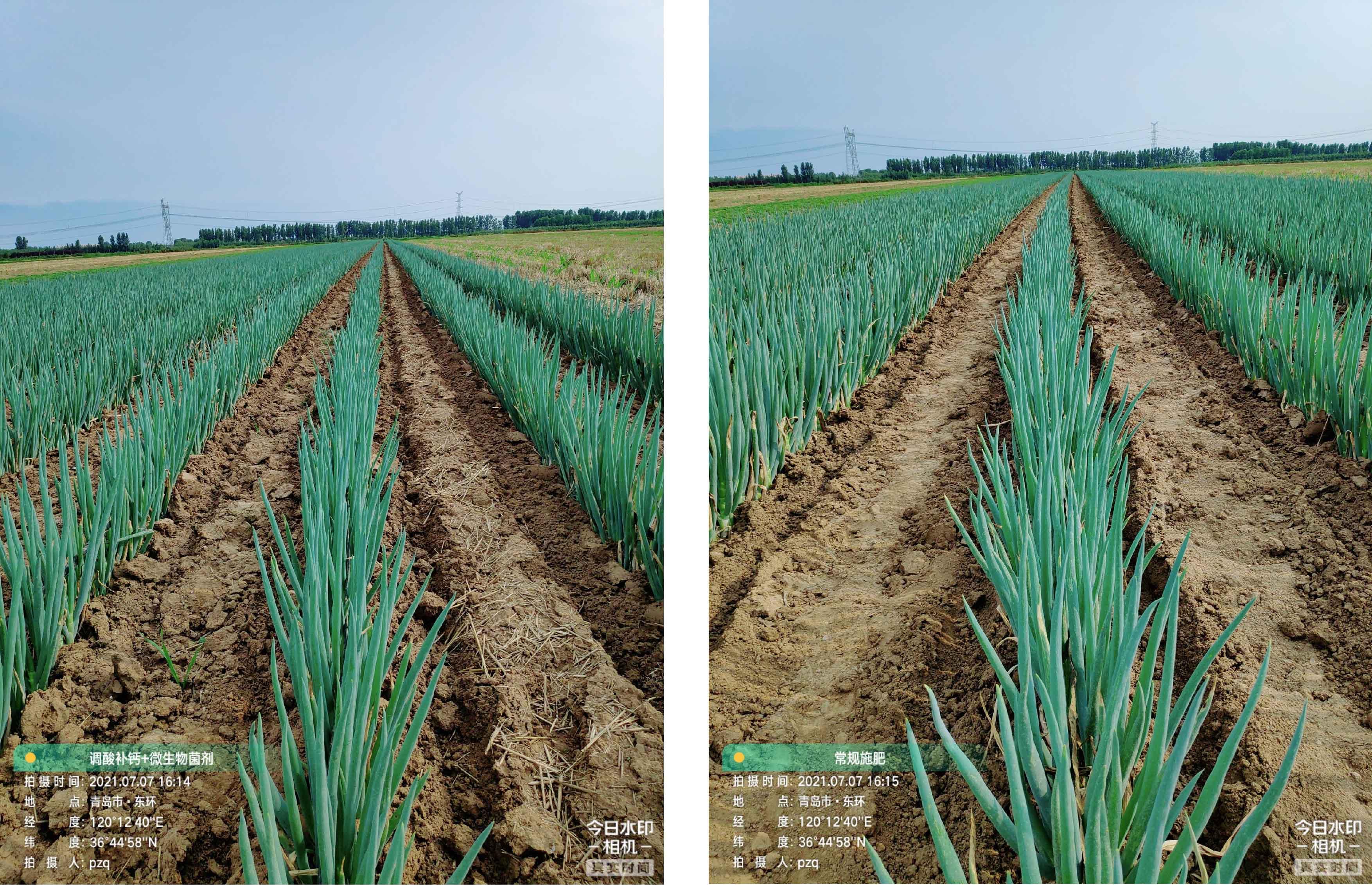 1628733604170767.jpg 8-01.jpg