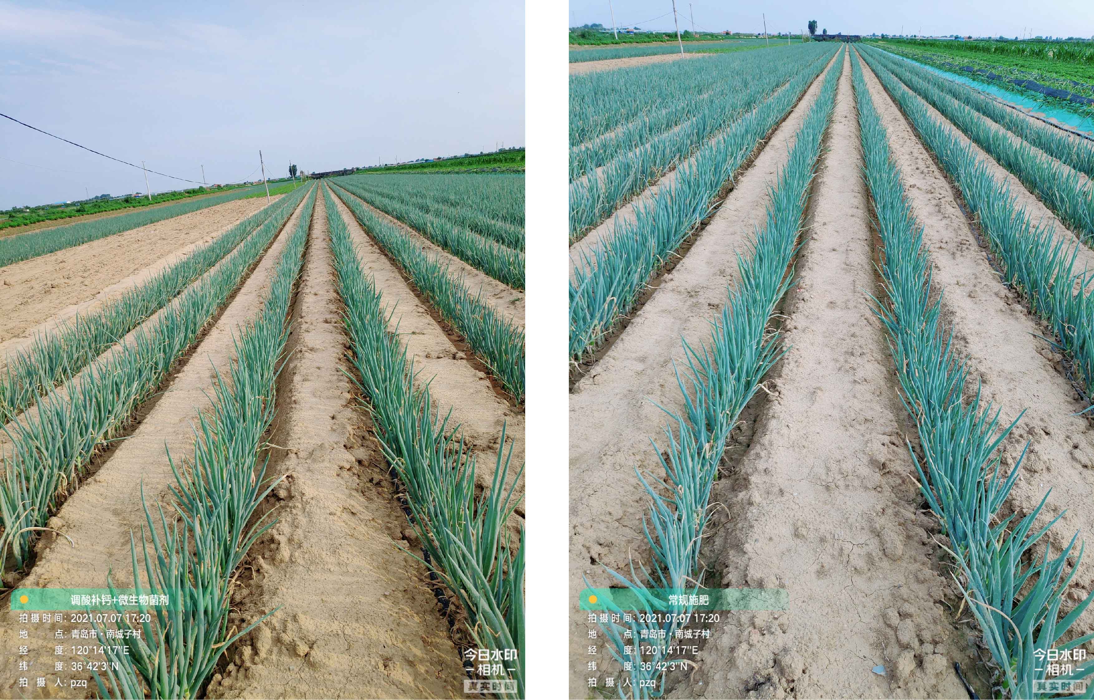 1628733831566784.jpg 11-01.jpg