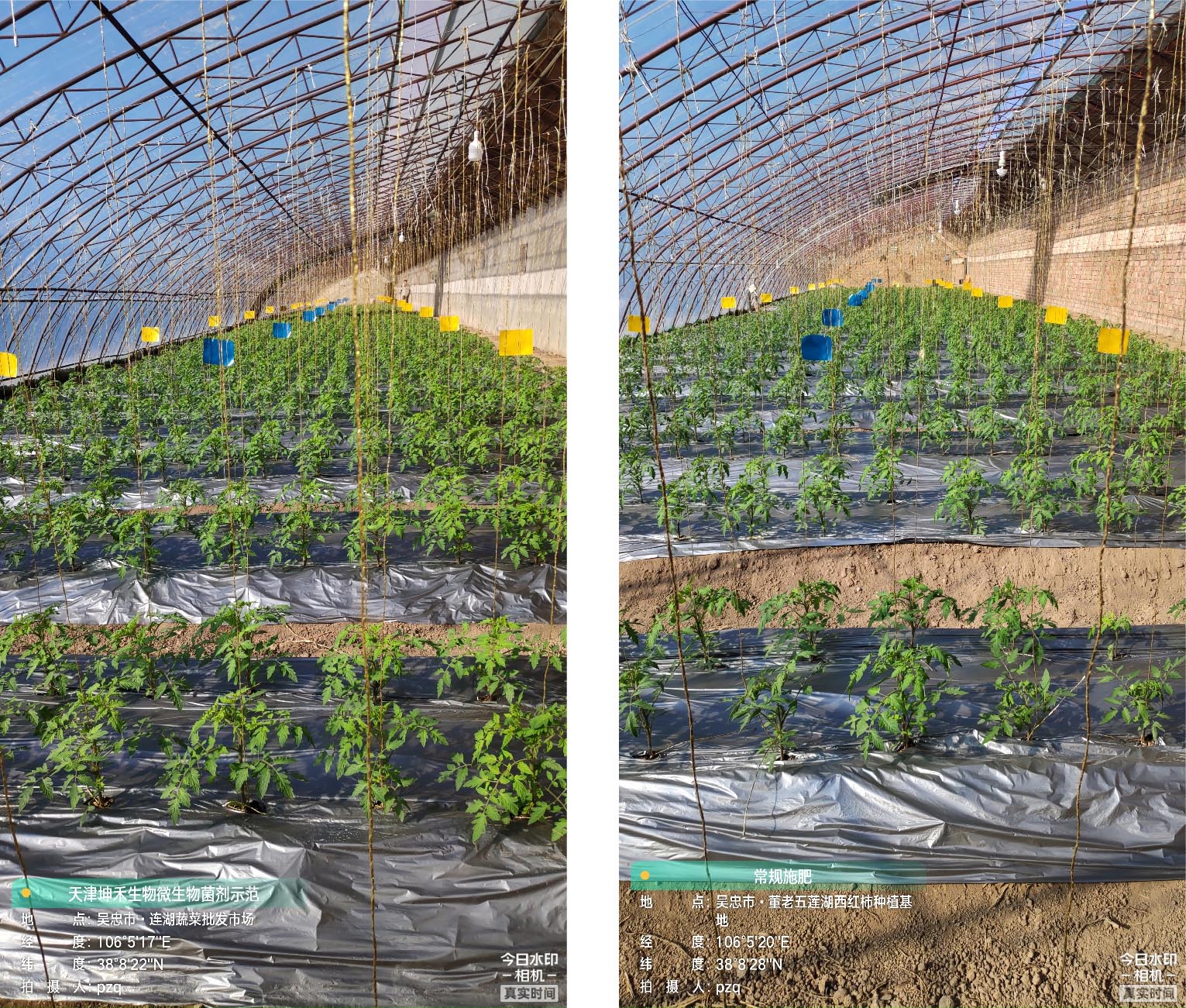 1652672247625518.jpg 7-01.jpg