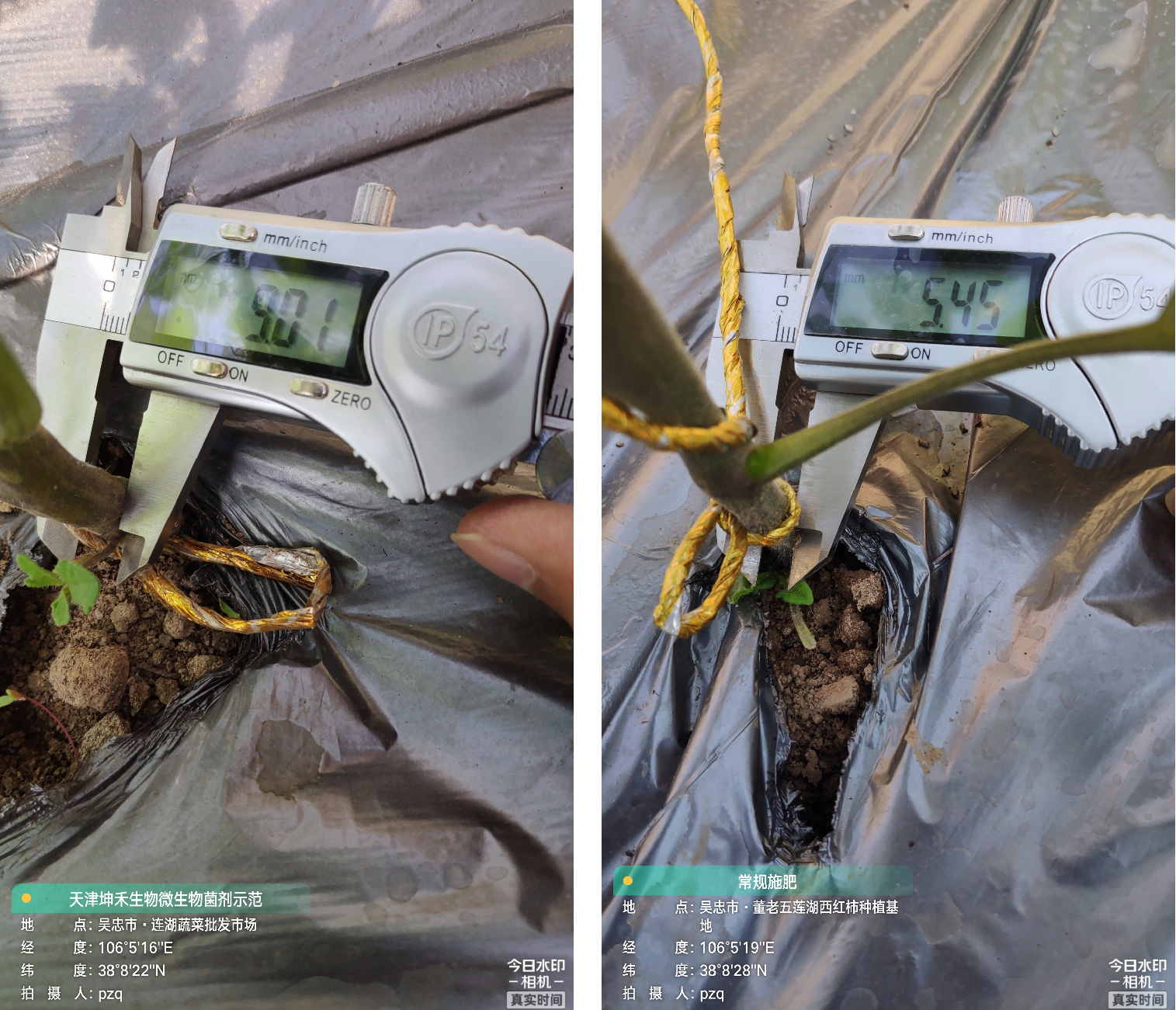 1652672288287511.jpg 10-01.jpg