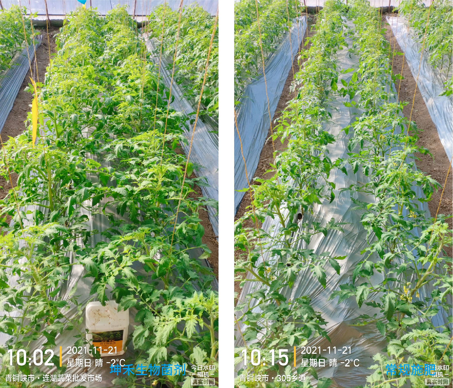 1652672380223745.jpg 16-01.jpg