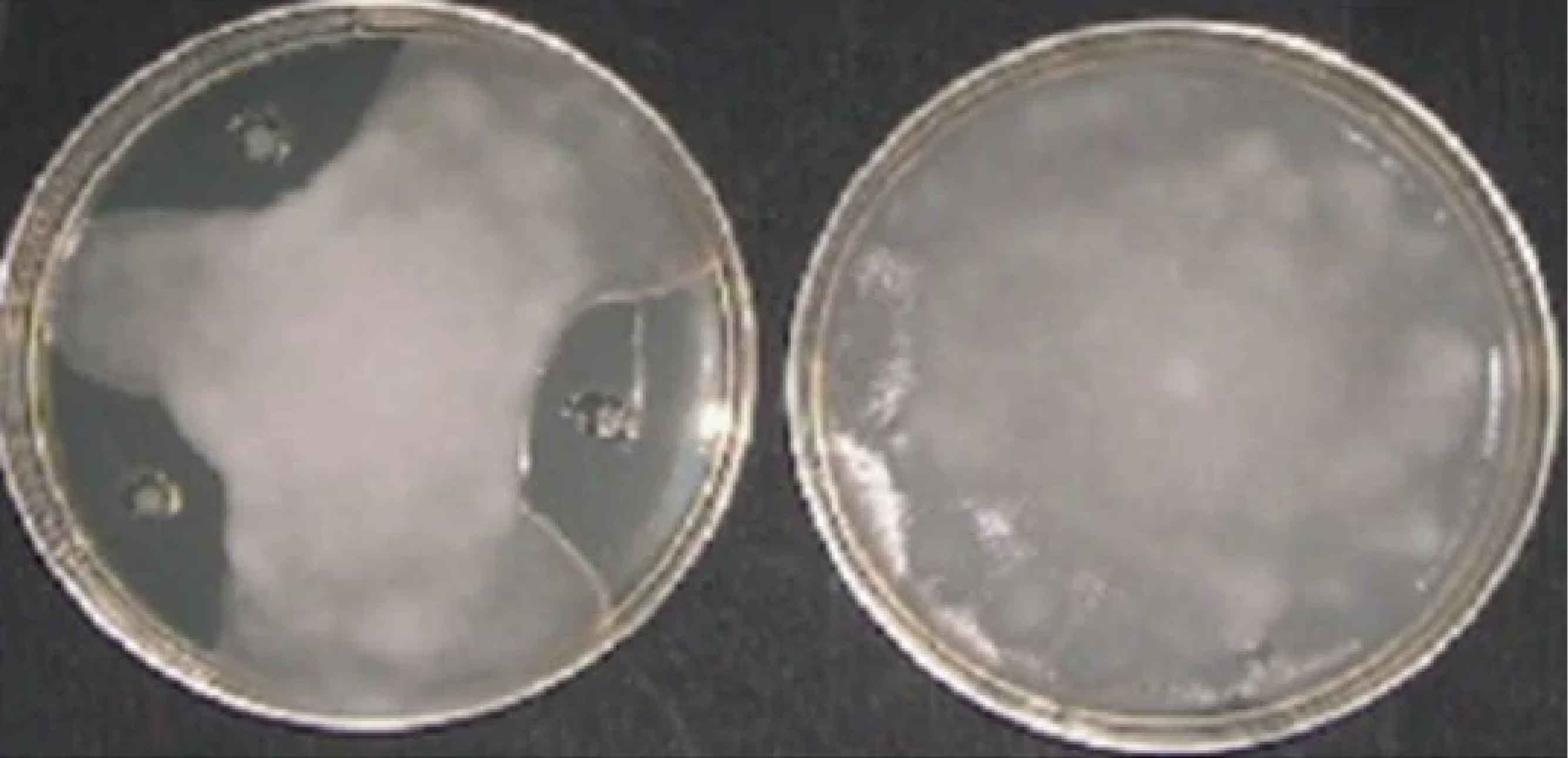 1664507200142428.jpg 3.3-01.jpg