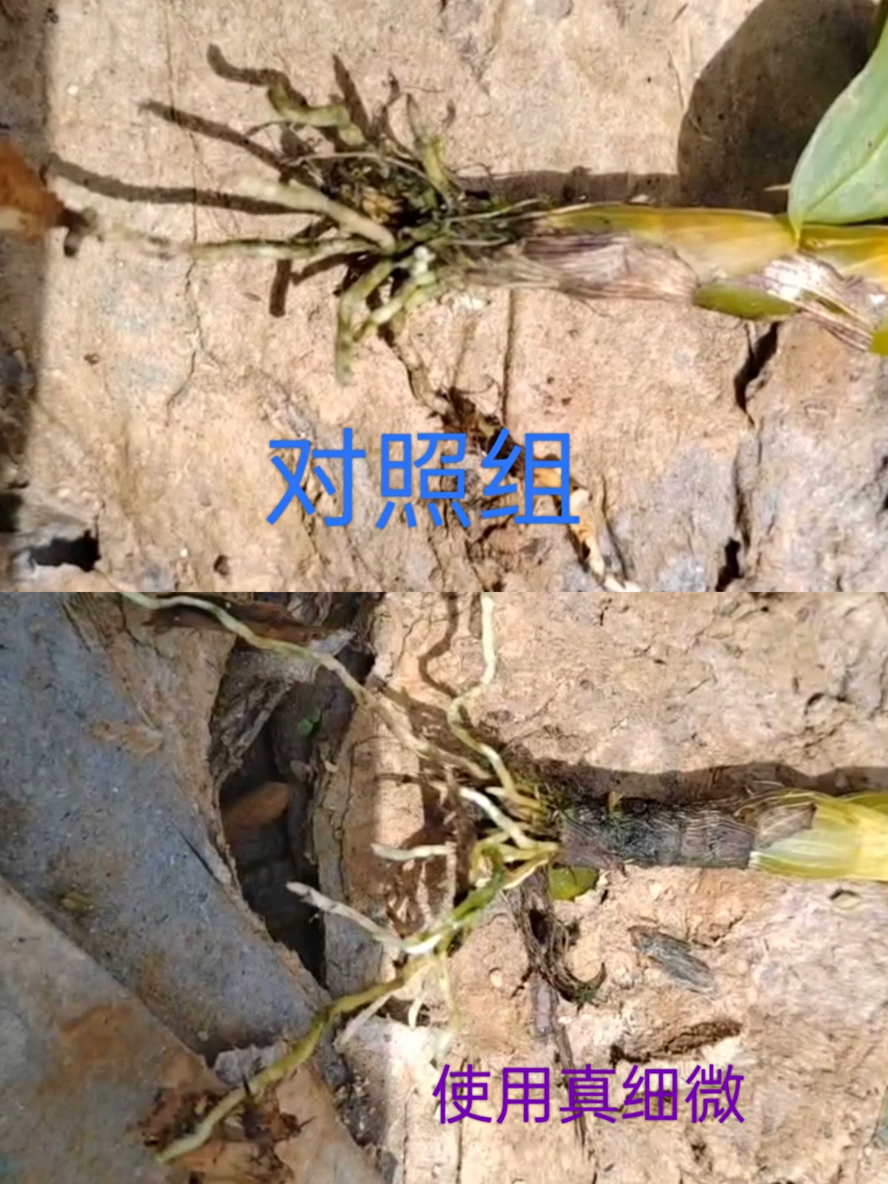 1664507639703735.jpg 微信圖片_20220914162314壓縮.jpg