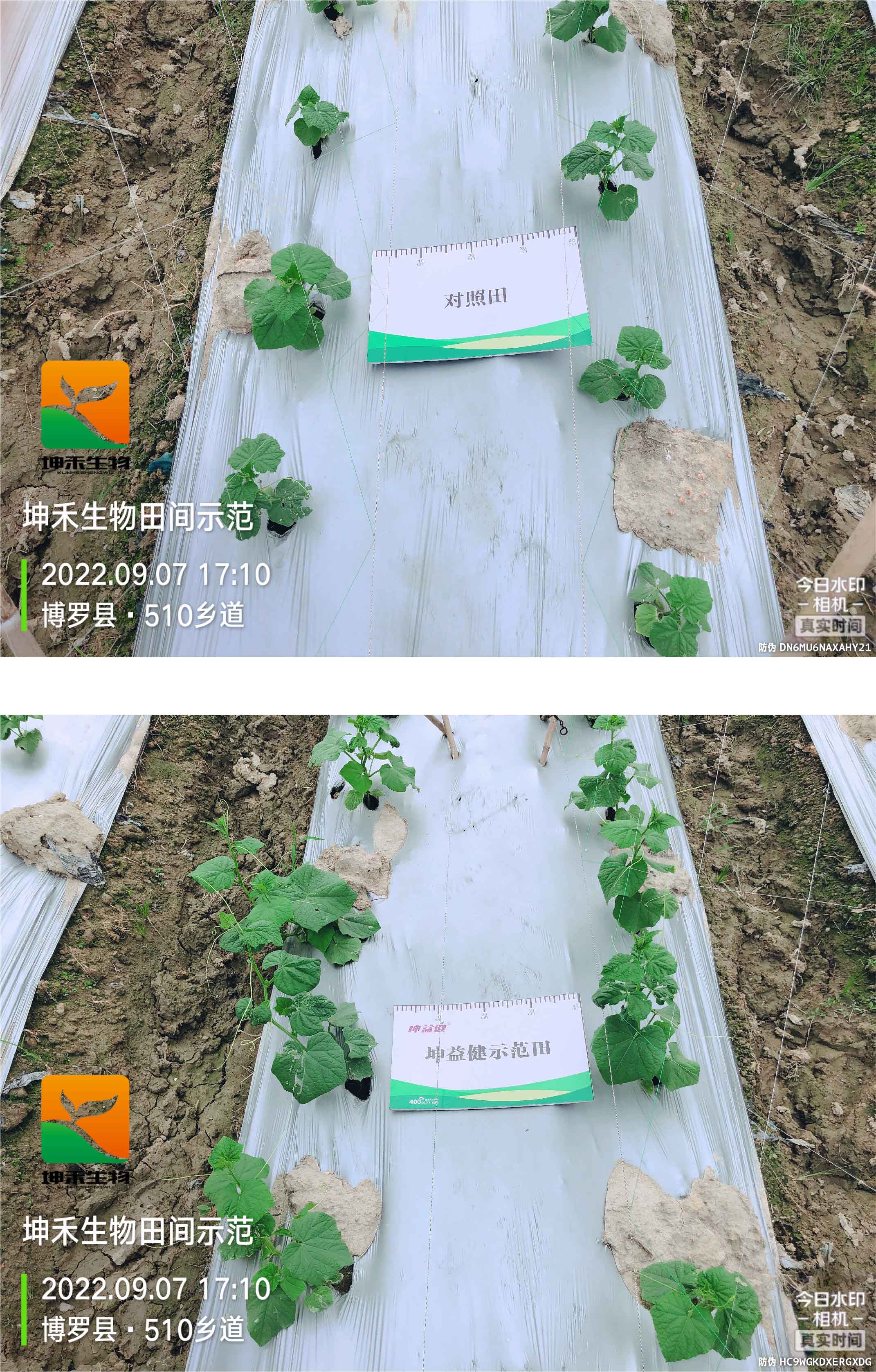 1664507665864933.jpg 2-01.jpg