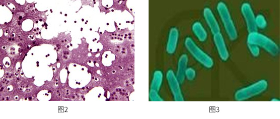 1672886923321176.jpg 圖片2-3.jpg