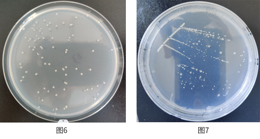 1672886972831423.jpg 圖片6-7.jpg